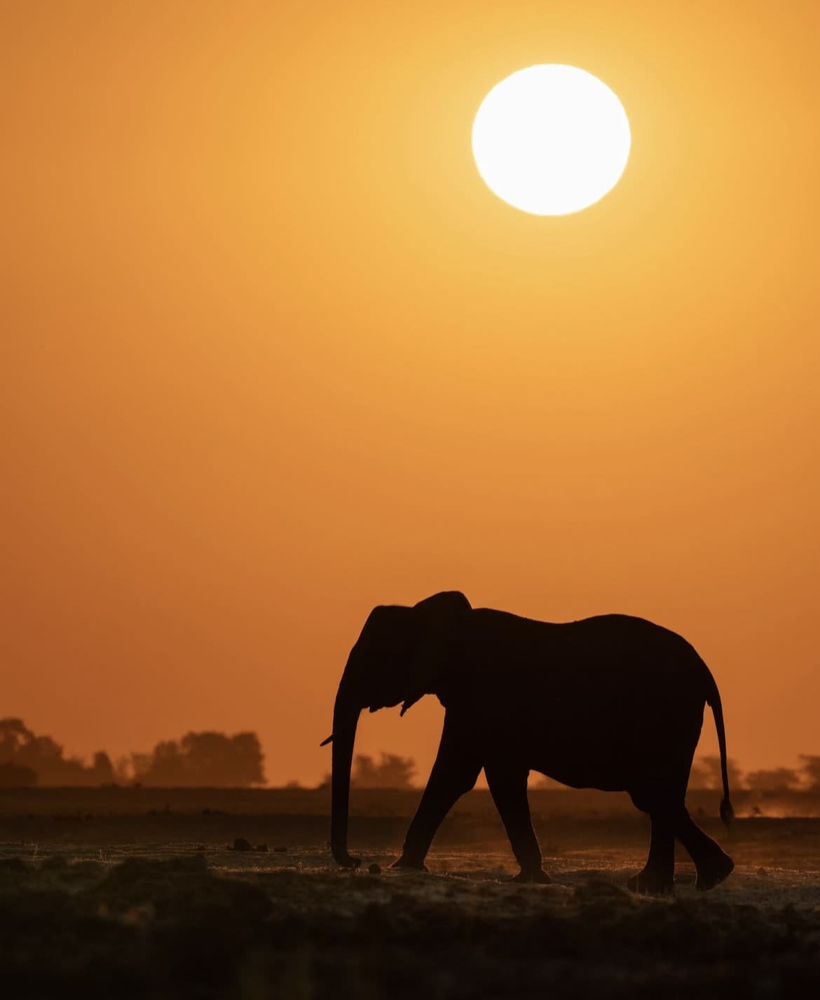 Sunset at Chobe National Park