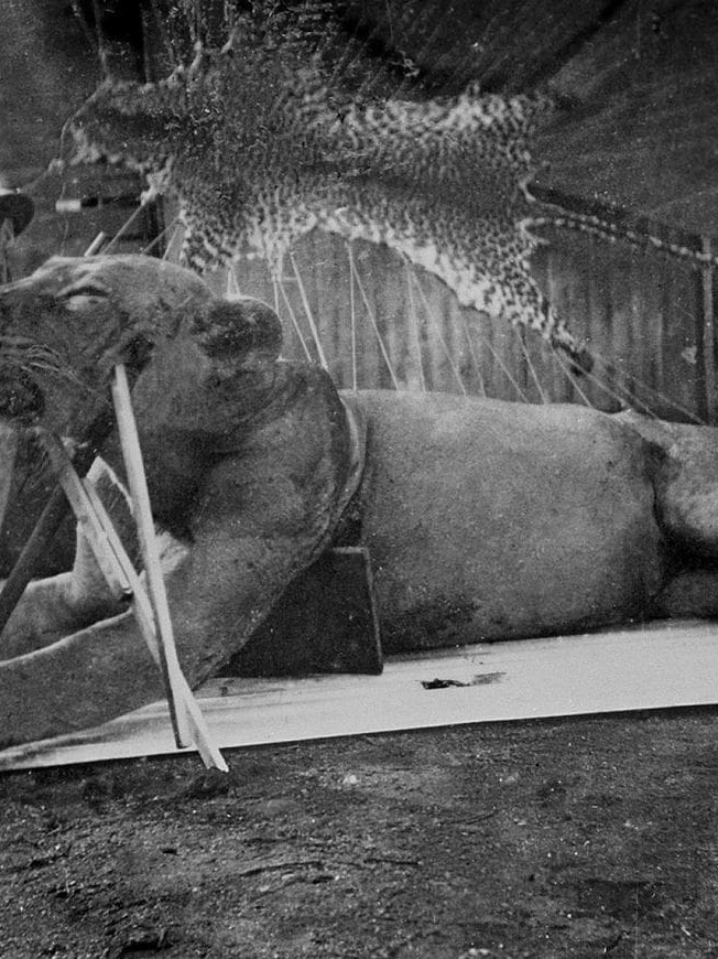 Colonel Patterson with one of the Tsavo Man Eaters