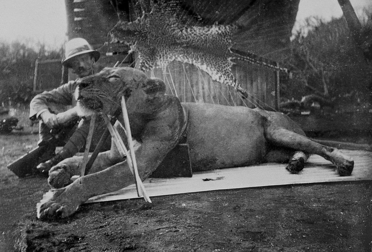 Colonel Patterson with one of the Tsavo Man Eaters