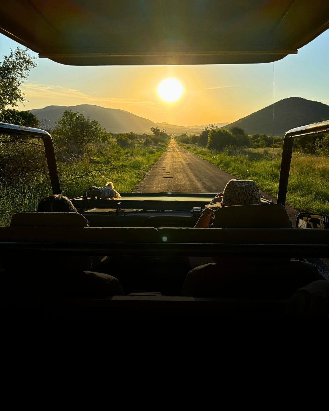 She-fari Safari
